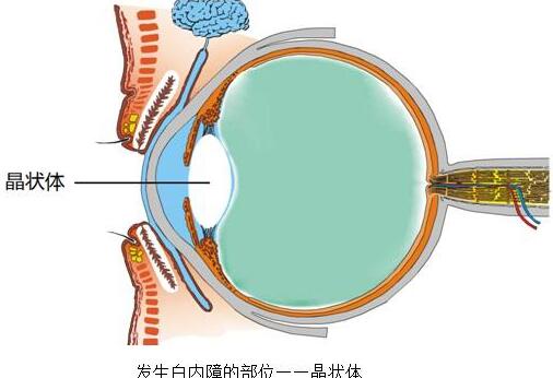 QQ截图20190425145340.jpg